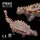 PNSO 78 - Cayden the Zuul