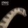 PNSO 79 - Samuel the Alamosaurus