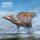 PNSO 80 - Zabad the Edmontosaurus