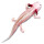 Safari Ltd. 104650 - Axolotl