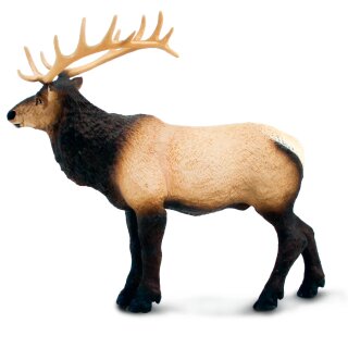 Safari Ltd. 100303 - Elk