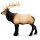 Safari Ltd. 100303 - Elk