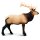 Safari Ltd. 100303 - Elk