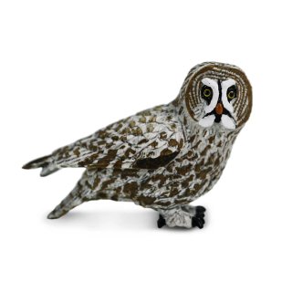 Safari Ltd. 100691 - Bartkauz