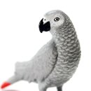 Safari Ltd. 100201 - Afrikanischer Graupapagei