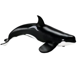 Safari Ltd. 103538 - Type D Orca