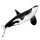 Safari Ltd. 103538 - Type D Orca