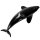 Safari Ltd. 103538 - Type D Orca