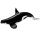 Safari Ltd. 103538 - Type D Orca