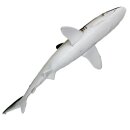 Safari Ltd. 100208 - Silky Shark