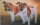 Hundepostkarte Jack Russle Duo