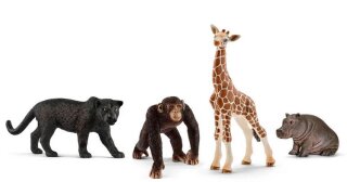 Schleich 72162 - Wild Life Starter-Set
