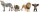 Schleich 42721 - Wild Life Afrika Starter Set