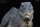 REBOR  161144 -1:35 Tyrannosaurus rex “Cream” Mountain Ver. *1