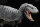 REBOR  161151 -1:35 Tyrannosaurus rex “Cream” Skullwalker Ver. *1