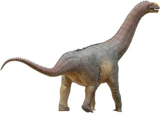 PNSO 85 - Njor the Camarasaurus