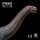 PNSO 85 - Njor the Camarasaurus