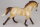 Breyer Stablemate (1:32) 711522 - Maifeld