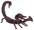 Mojö 387133 - Emperor Scorpion