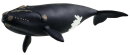 Schleich 14878 - North Atlantic Right Whale