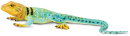 Safari Ltd. 271029 - Collared Lizard