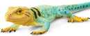 Safari Ltd. 271029 - Collared Lizard