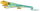 Safari Ltd. 271029 - Collared Lizard