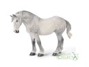 CollectA 80029 - Percheron Stute Apfelschimmel