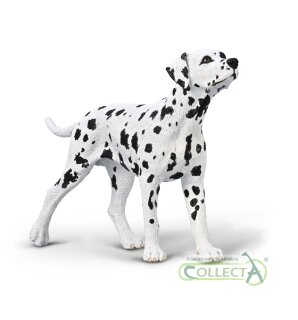 CollectA 80040 - Dalmatian Dog