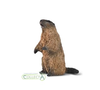 CollectA 80044 - Marmot