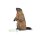 CollectA 80044 - Marmot