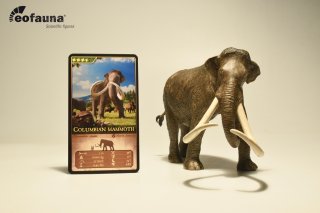 EoFauna 010 - Mammuthus columbi (1:35)