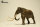 EoFauna 010 - Mammuthus columbi (1:35)