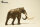 EoFauna 010 - Mammuthus columbi (1:35)