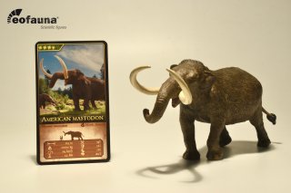 EoFauna 011 - Mammut americanum (1:35)