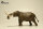EoFauna 011 - Mammut americanum (1:35)