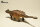 EoFauna 012 - Ankylosaurus magniventris (1:35)