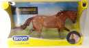 Breyer Traditional (1:9) 8662 - Peptoboonsmal (glossy)...