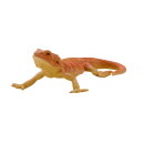 Mojö 381096 - Bearded Dragon