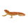Mojö 381096 - Bearded Dragon