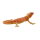 Mojö 381096 - Bearded Dragon