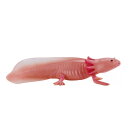 Mojö 381108 - Axolotl
