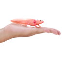 Mojö 381108 - Axolotl