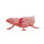Mojö 381108 - Axolotl