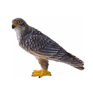 Mojö 381056 - Wanderfalke (2025 Version)