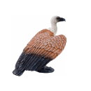 Mojö 381099 - Griffon Vulture