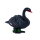 Mojö 381067 - Black Swan