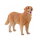 Mojö 387198 - Golden Retriever (2025 Version)