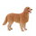 Mojö 387198 - Golden Retriever (2025 Version)