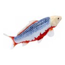 Mojö 381100 - Koi Carp Asagi (blue-red)